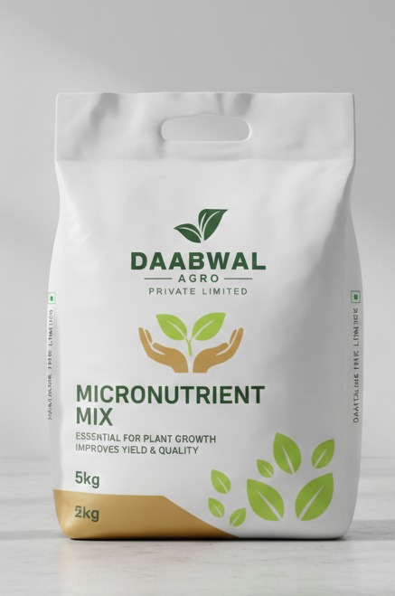 whatsapp image 2026 03 19 at 9.03.58 am (1)